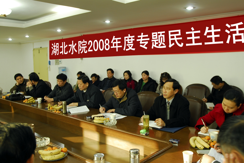 2008年度深入学习实践科学发展观专题民主生活会